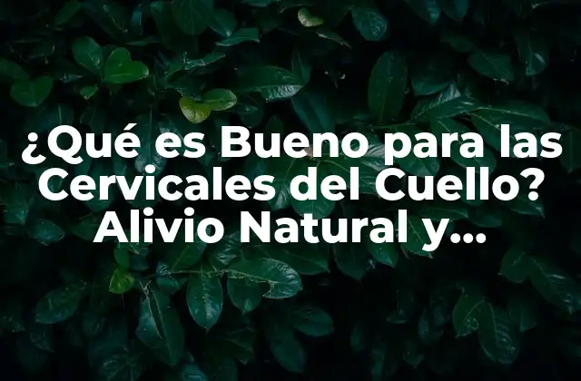 ¿qué es Bueno para las Cervicales Del Cuello? Alivio Natural y Efectivo