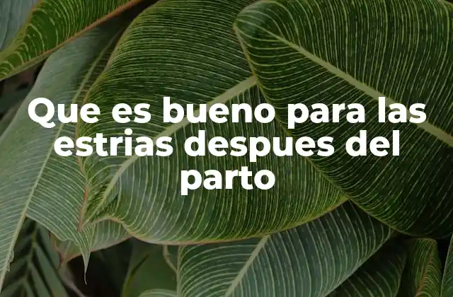 Que es Bueno para las Estrias Despues Del Parto