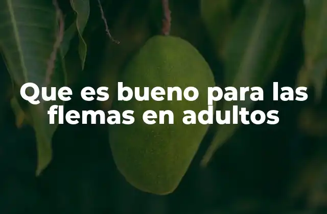 Que es Bueno para las Flemas en Adultos