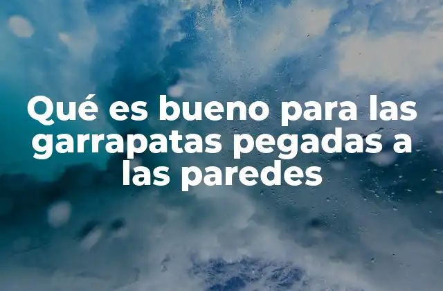 Qué es Bueno para las Garrapatas Pegadas a las Paredes