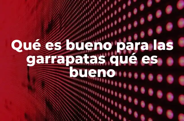 Qué es Bueno para las Garrapatas Qué es Bueno