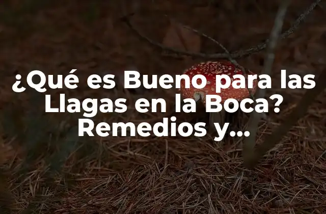 ¿qué es Bueno para las Llagas en la Boca? Remedios y Tratamientos Naturales