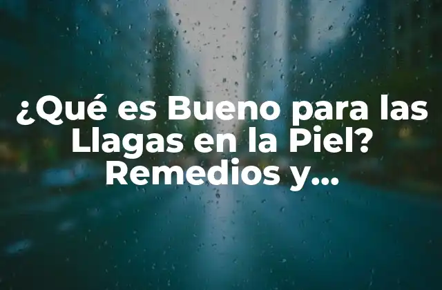 ¿qué es Bueno para las Llagas en la Piel? Remedios y Tratamientos Naturales