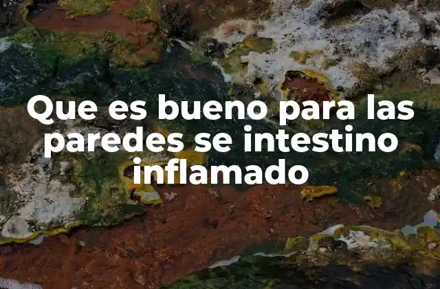 Que es Bueno para las Paredes Se Intestino Inflamado
