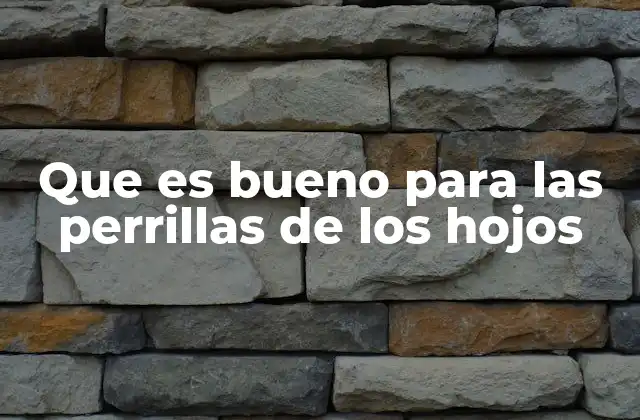 Que es Bueno para las Perrillas de los Hojos 2 Cómo apoyar la salud de las glándulas sebáceas de los perros