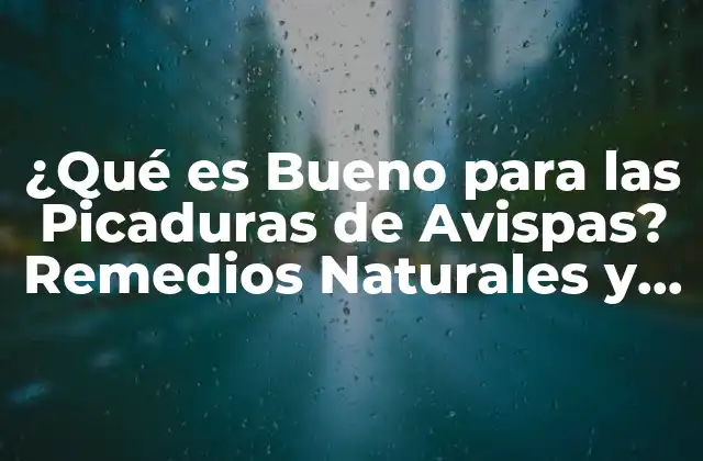 ¿qué es Bueno para las Picaduras de Avispas? Remedios Naturales y Efectivos