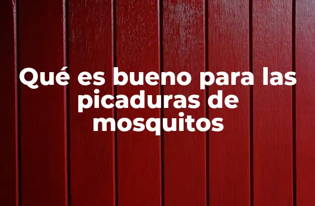 Qué es Bueno para las Picaduras de Mosquitos