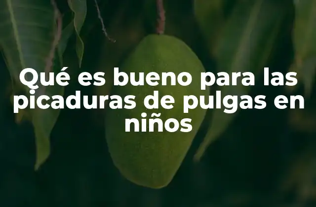 Qué es Bueno para las Picaduras de Pulgas en Niños