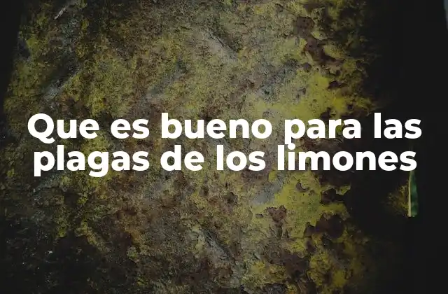 Cómo identificar y prevenir las plagas en los limoneros
