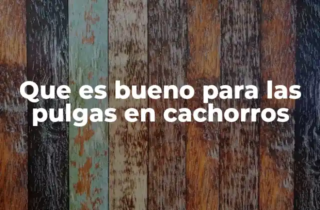 Que es Bueno para las Pulgas en Cachorros