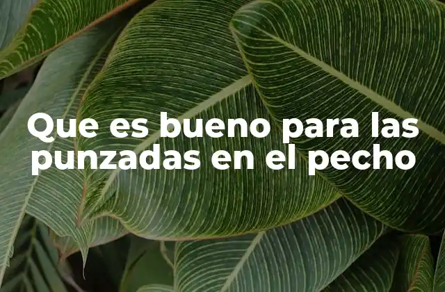 Que es Bueno para las Punzadas en el Pecho
