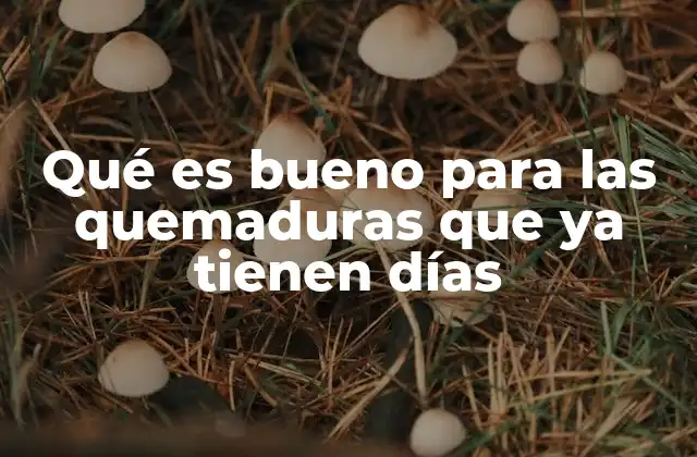 Qué es Bueno para las Quemaduras que Ya Tienen Días