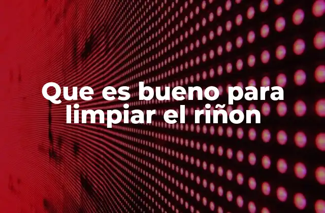 Que es Bueno para Limpiar el Riñon