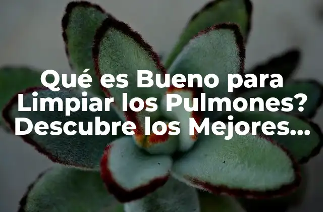 Qué es Bueno para Limpiar los Pulmones? Descubre los Mejores Remedios Naturales