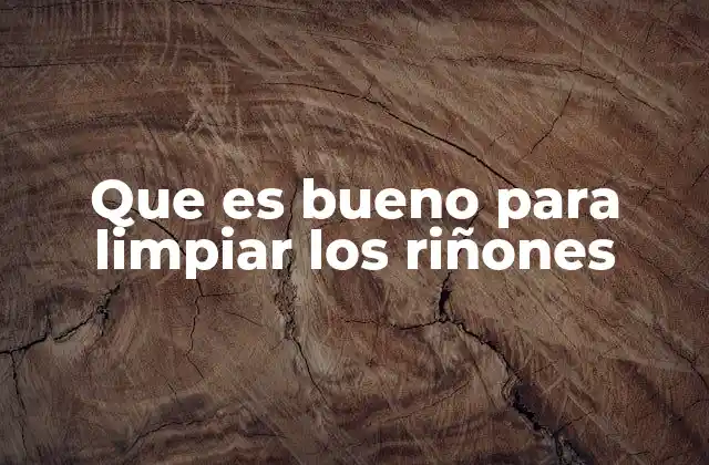 Que es Bueno para Limpiar los Riñones