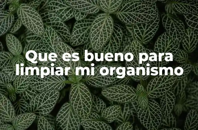 Que es Bueno para Limpiar Mi Organismo