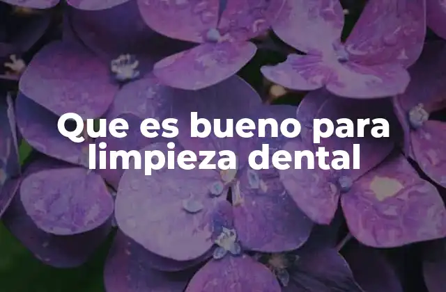 Que es Bueno para Limpieza Dental