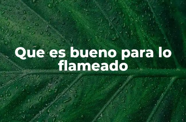 Que es Bueno para Lo Flameado