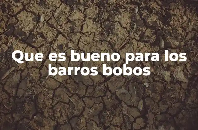 Que es Bueno para los Barros Bobos