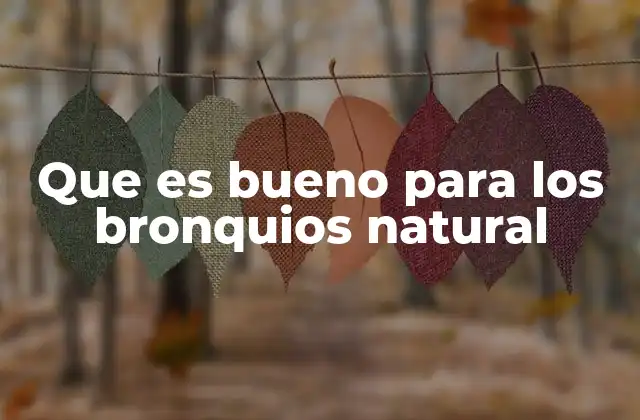 Que es Bueno para los Bronquios Natural