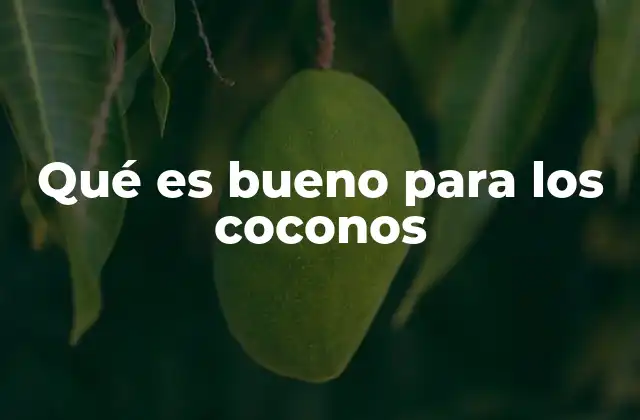 Qué es Bueno para los Coconos 2 Cómo optimizar el cultivo de coconos