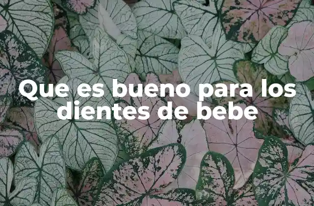 Que es Bueno para los Dientes de Bebe