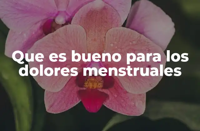 Que es Bueno para los Dolores Menstruales