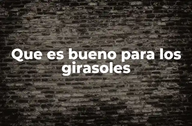 Que es Bueno para los Girasoles