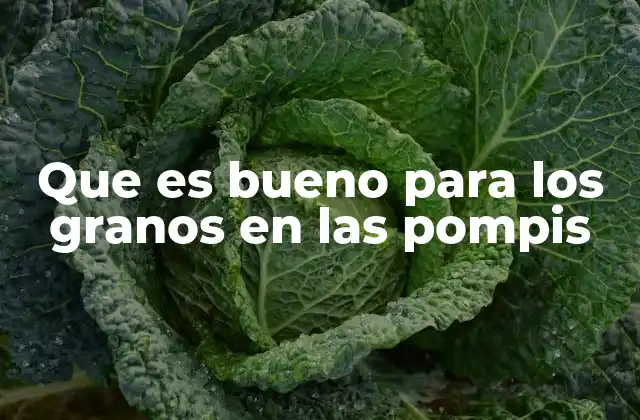 Que es Bueno para los Granos en las Pompis