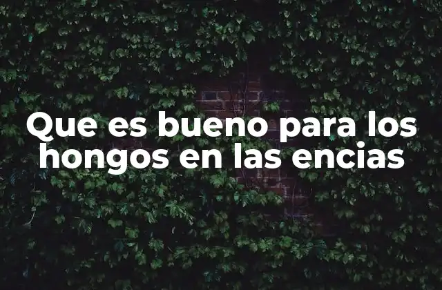 Que es Bueno para los Hongos en las Encias 2 Causas y factores de riesgo de infecciones por hongos en las encías