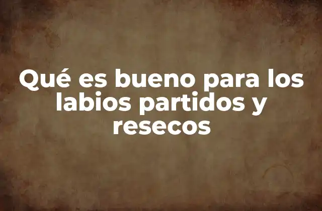 Qué es Bueno para los Labios Partidos y Resecos