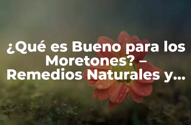 ¿qué es Bueno para los Moretones? – Remedios Naturales y Tratamientos