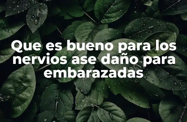 Que es Bueno para los Nervios Ase Daño para Embarazadas