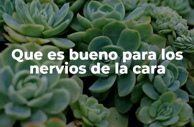 Que es Bueno para los Nervios de la Cara 2 Cómo mantener la salud de los nervios faciales sin medicación