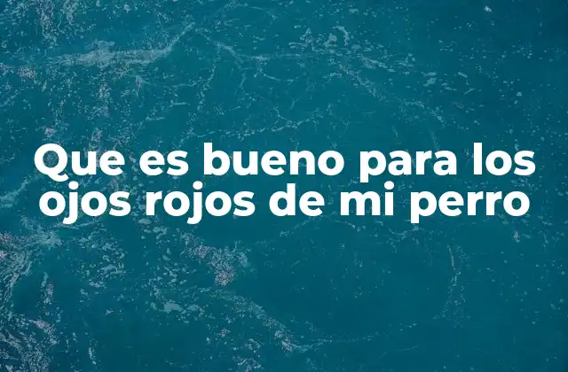Que es Bueno para los Ojos Rojos de Mi Perro