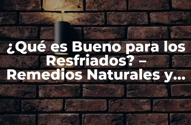 ¿qué es Bueno para los Resfriados? – Remedios Naturales y Efectivos