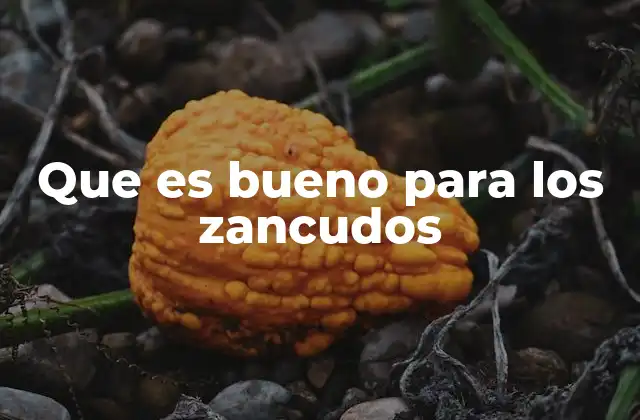 Que es Bueno para los Zancudos