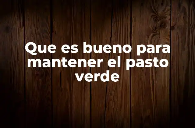 Que es Bueno para Mantener el Pasto Verde 2 Claves para un césped saludable sin mencionar directamente el pasto