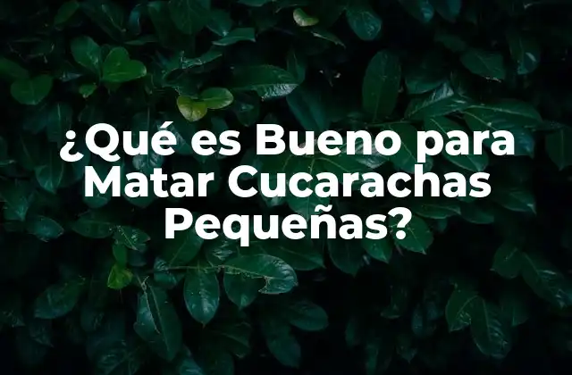 ¿qué es Bueno para Matar Cucarachas Pequeñas?