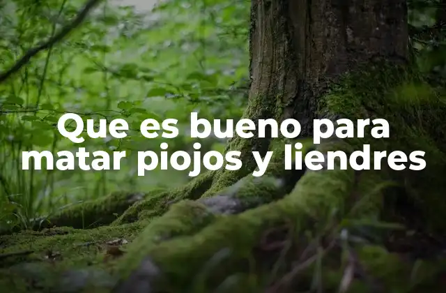 Que es Bueno para Matar Piojos y Liendres