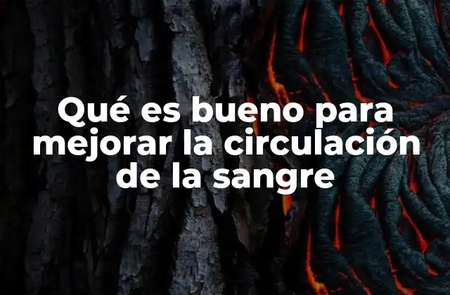 Qué es Bueno para Mejorar la Circulación de la Sangre