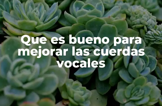Que es Bueno para Mejorar las Cuerdas Vocales