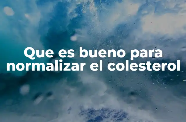 Que es Bueno para Normalizar el Colesterol 2 Alimentos que favorecen la salud cardiovascular sin mencionar el colesterol