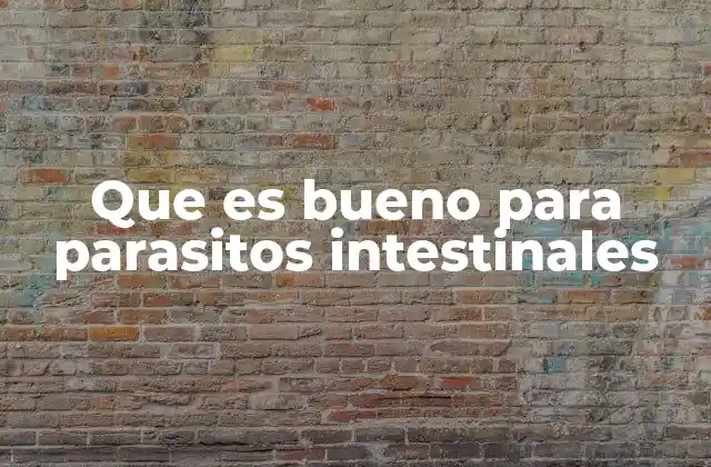 Alimentos que apoyan la salud intestinal en la lucha contra los parásitos