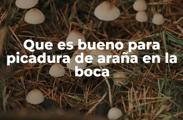 Cómo actuar ante una picadura de araña en una zona sensible
