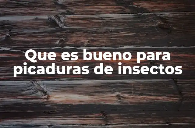 Que es Bueno para Picaduras de Insectos