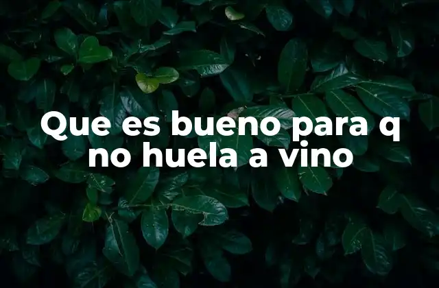 Que es Bueno para Q No Huela a Vino