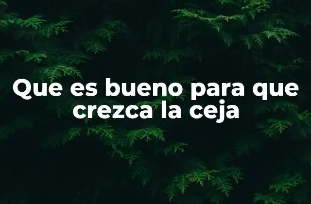 Que es Bueno para que Crezca la Ceja