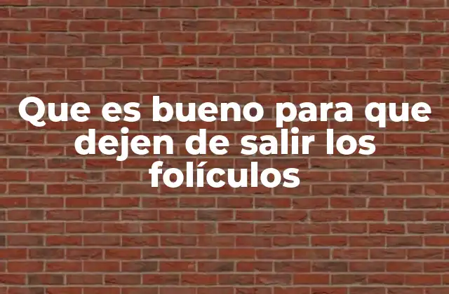 Que es Bueno para que Dejen de Salir los Folículos