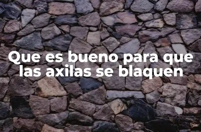 Que es Bueno para que las Axilas Se Blaquen